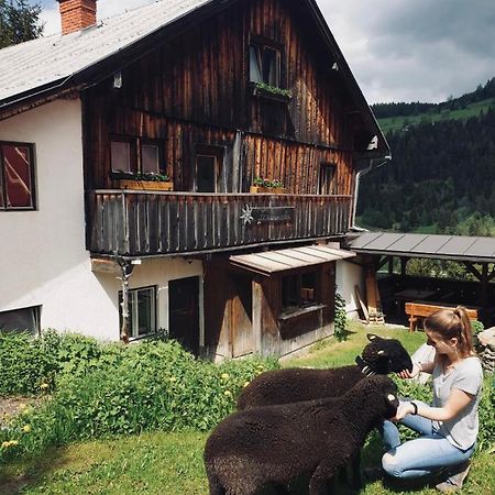 Zauneralm Aich  Εξωτερικό φωτογραφία