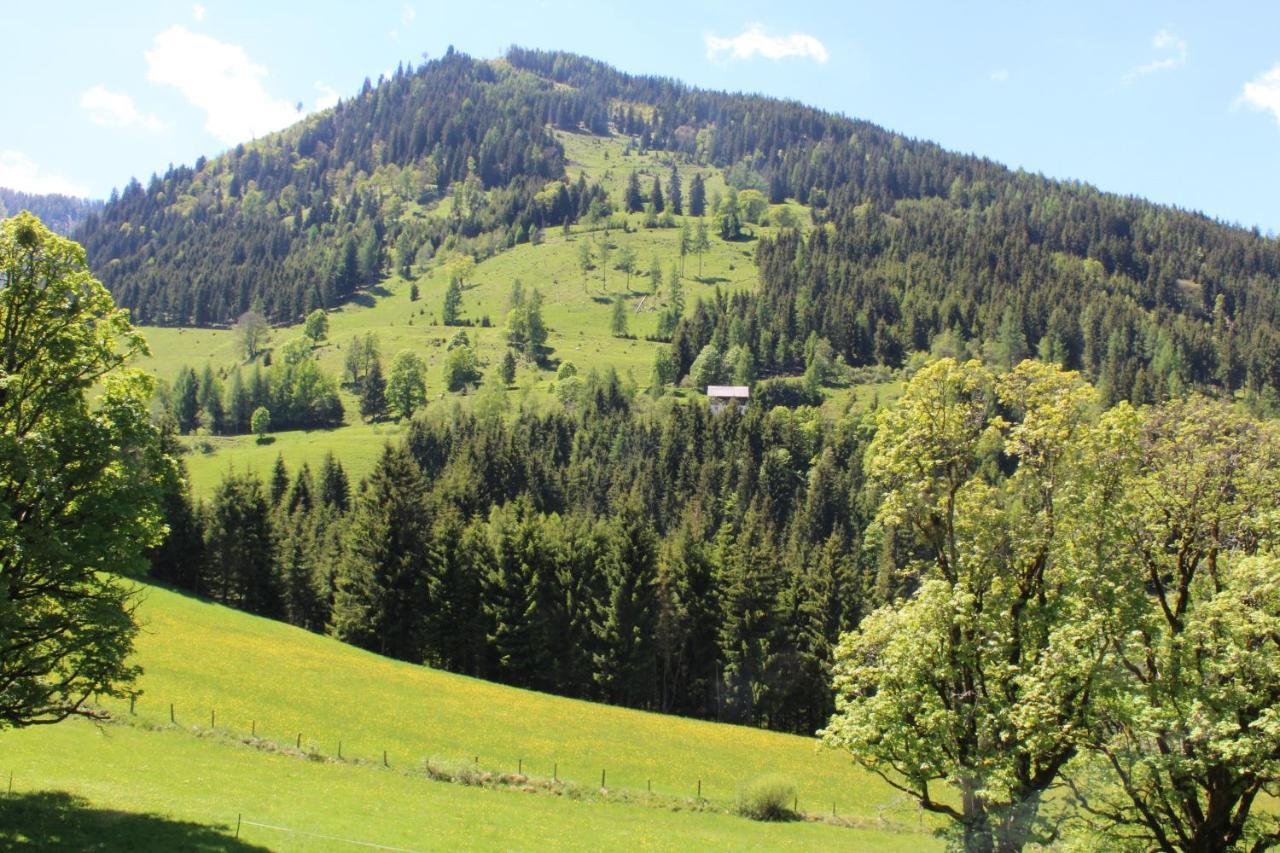 Zauneralm Aich  Εξωτερικό φωτογραφία